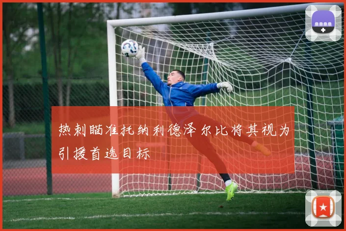 热刺瞄准托纳利德泽尔比将其视为引援首选目标